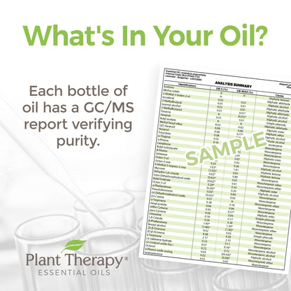 Plant Therapy Ginger Root CO2 Essential Oil – 100% Pure, Therapeutic Grade, 30 mL