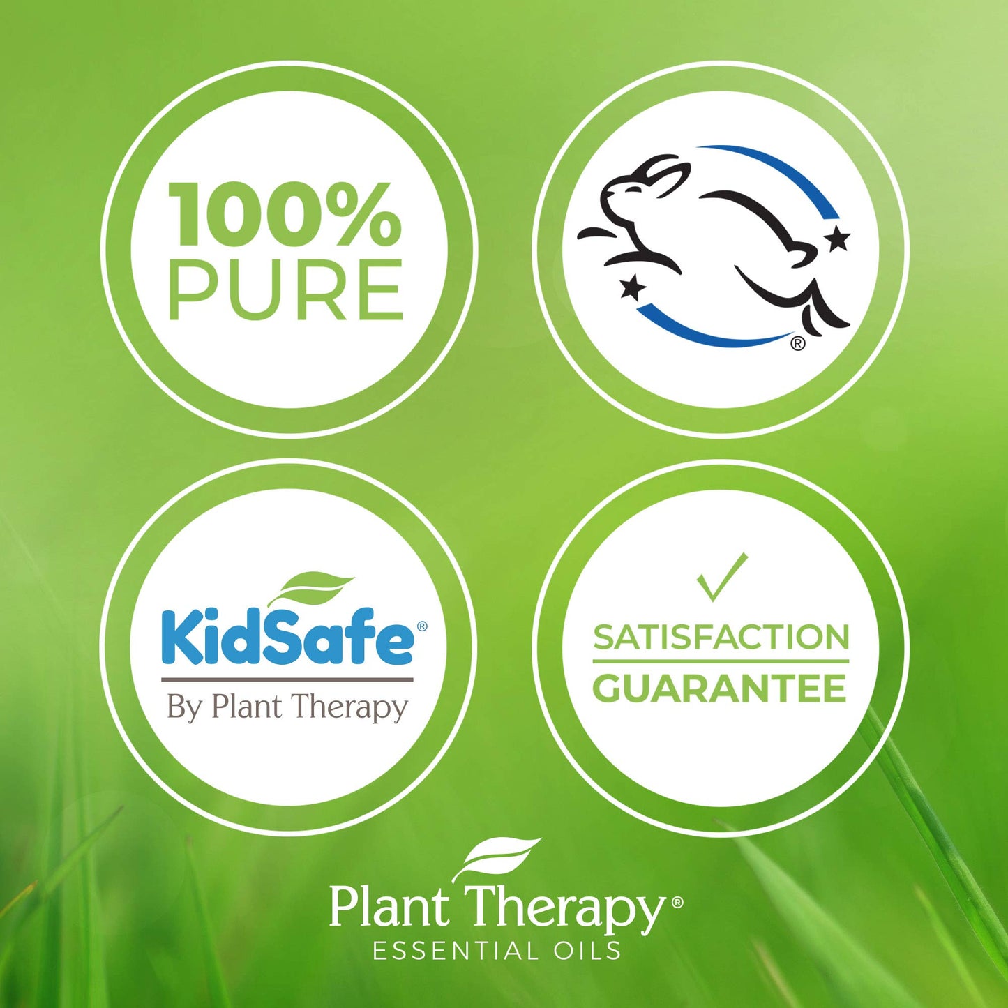 Plant Therapy Ginger Root CO2 Essential Oil – 100% Pure, Therapeutic Grade, 30 mL