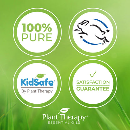 Plant Therapy Ginger Root CO2 Essential Oil – 100% Pure, Therapeutic Grade, 30 mL