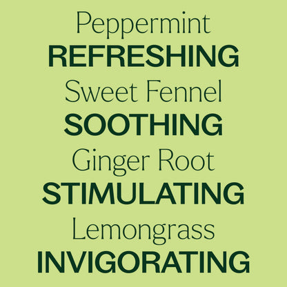Plant Therapy Gut Aid Essential Oil Blend 30 mL - Digestive Comfort & Aromatherapy