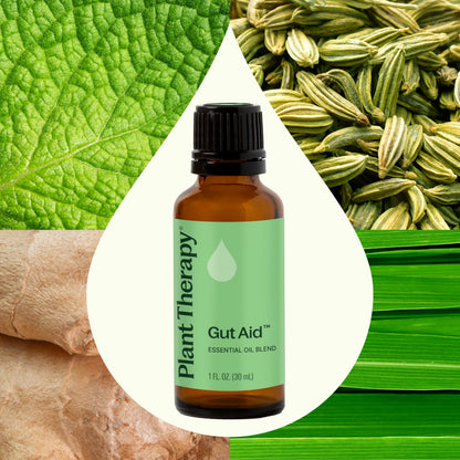Plant Therapy Gut Aid Essential Oil Blend 30 mL - Digestive Comfort & Aromatherapy