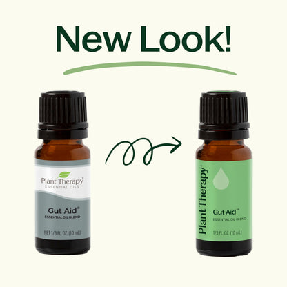 Plant Therapy Gut Aid Essential Oil Blend 30 mL - Digestive Comfort & Aromatherapy