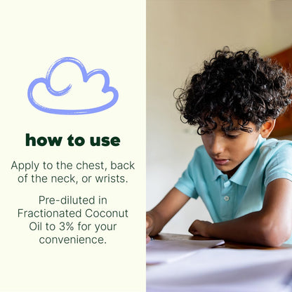 Plant Therapy Hocus Focus KidSafe Roll-On – 10 mL Pre-Diluted Focus Blend