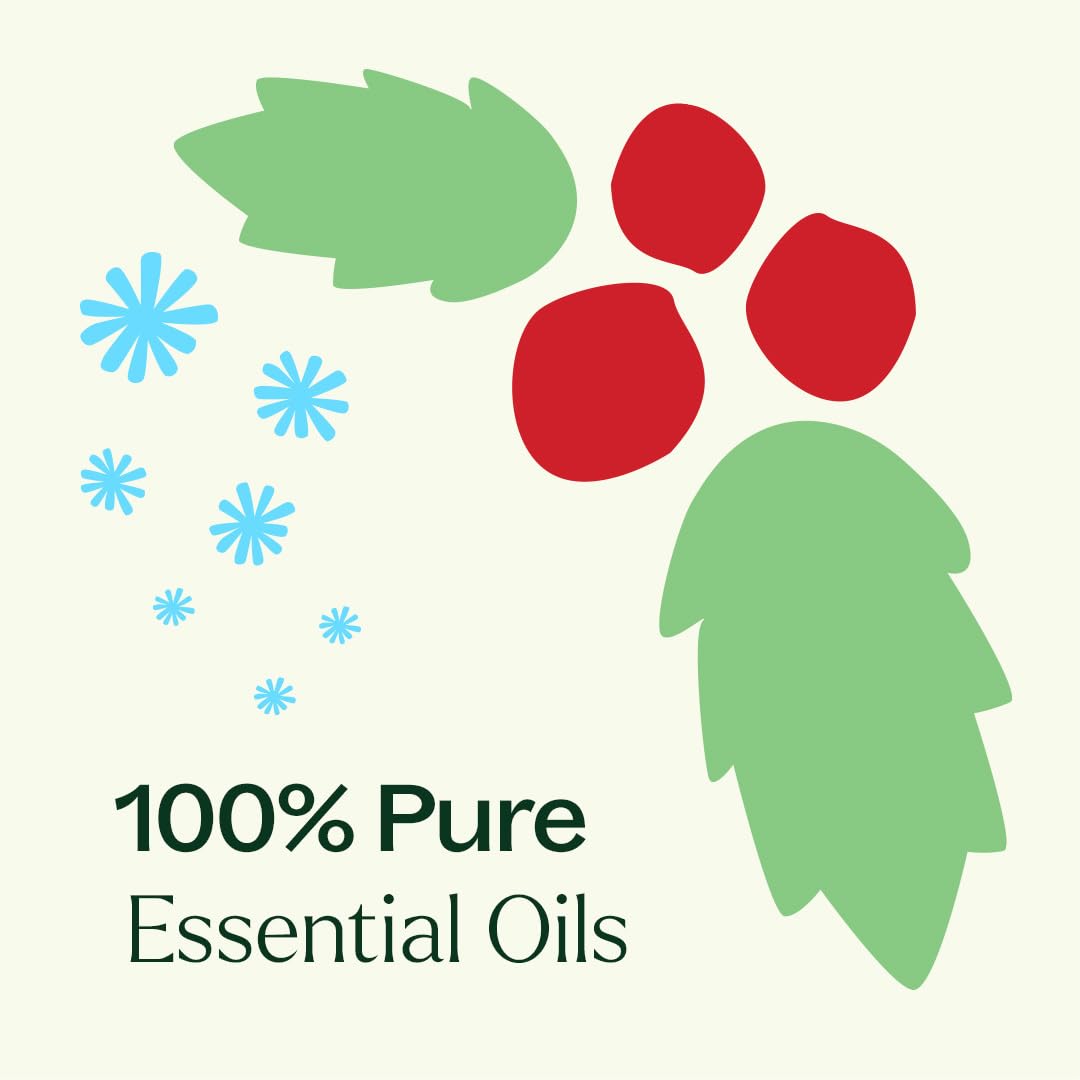 Plant Therapy Christmas Magic Holiday Essential Oil Blend 3 Set | Festive Scents