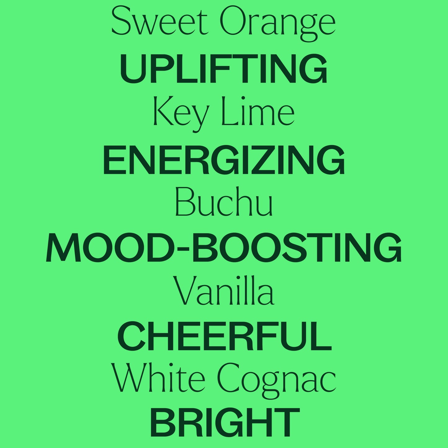 Plant Therapy Tropical Scents Home Set — 3 Essential Oil Blends (Honeybell, Lime in the Coconut, Tropical Passion) 10 mL Each