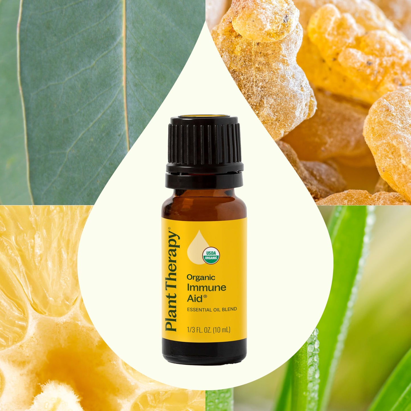 Plant Therapy Organic Immune Aid Essential Oil Blend 10 mL – 100% Pure & Undiluted
