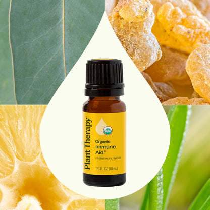 Plant Therapy Organic Immune Aid Essential Oil Blend 10 mL – 100% Pure & Undiluted
