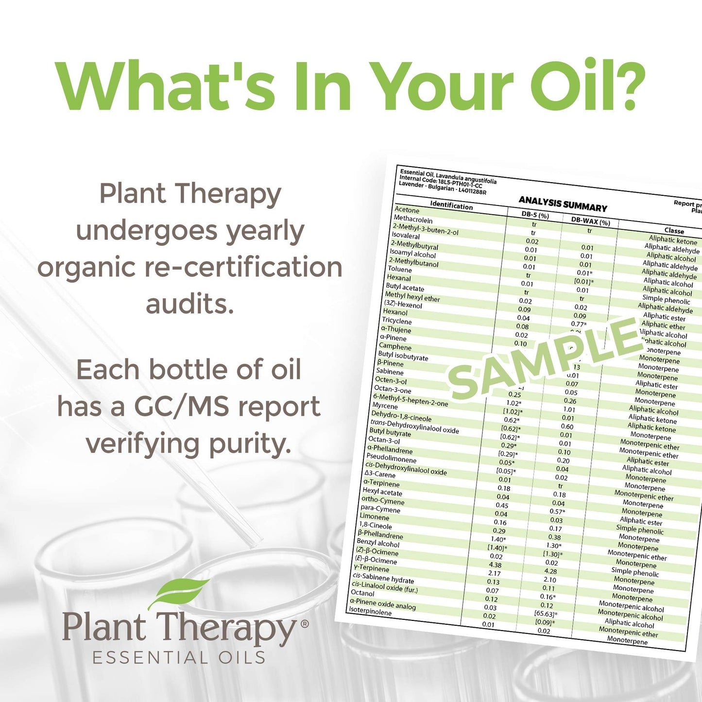 Plant Therapy KidSafe Destroyer Essential Oil Blend 10 mL | 100% Pure