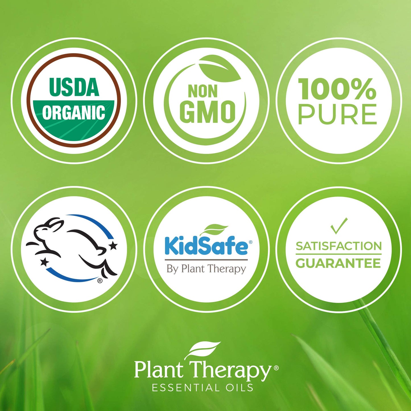 Plant Therapy KidSafe Destroyer Essential Oil Blend 10 mL | 100% Pure
