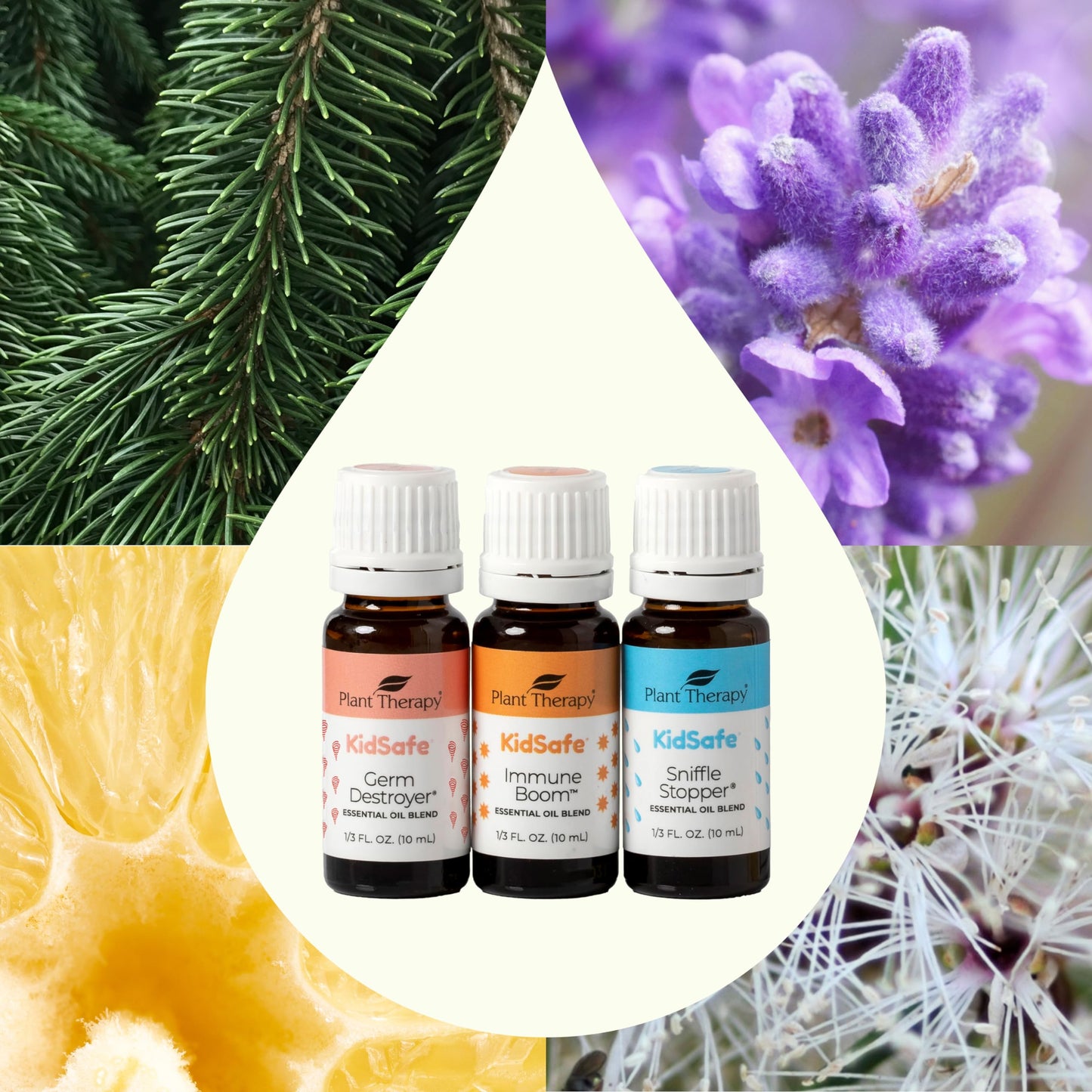 Plant Therapy KidSafe Feelin' Good Essential Oil Set – Germ Destroyer, Immune Boom & Sniffle Stopper 10 mL