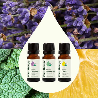 Plant Therapy Organic Essential Oil Singles Set - Lemon, Lavender & Peppermint (10 mL)