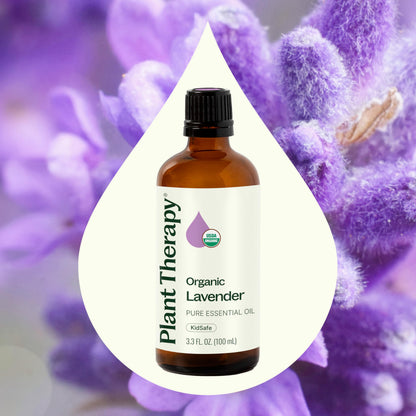Plant Therapy Lavender Essential Oil – 100 mL (Undiluted), 100% Pure & USDA Organic