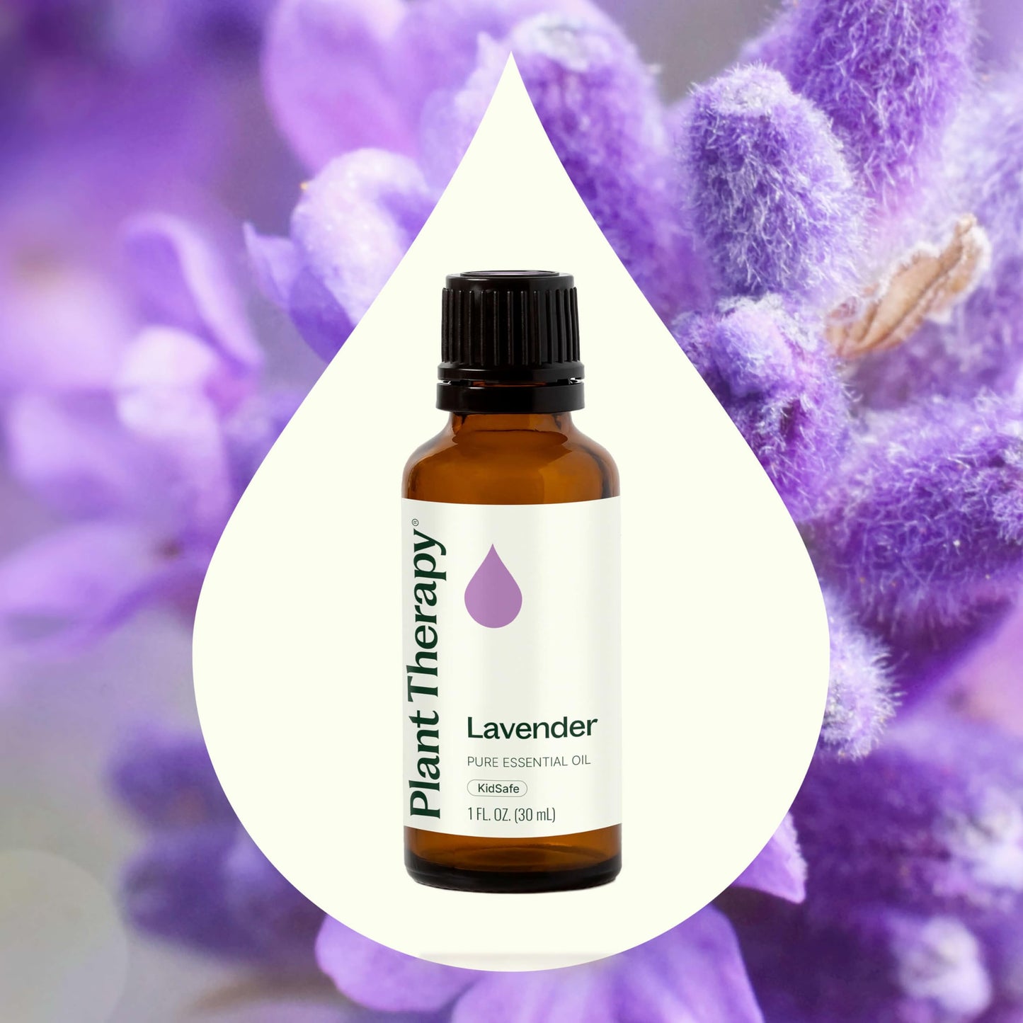 Plant Therapy Lavender Essential Oil 30 mL (1 oz) – 100% Pure & Therapeutic Grade