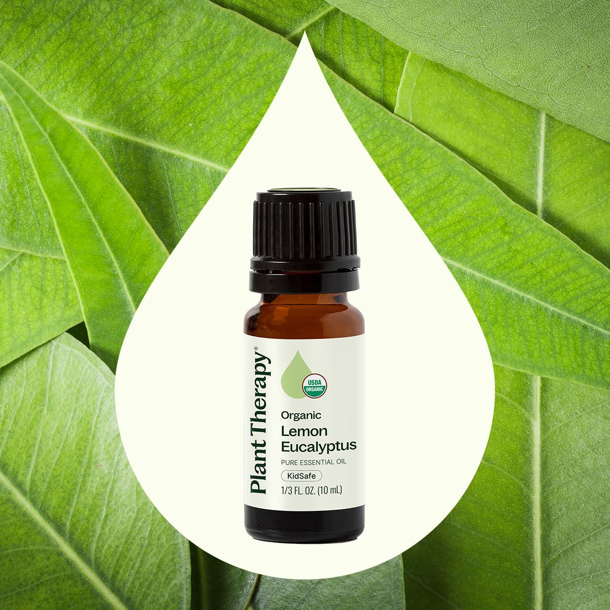 Plant Therapy Organic Lemon Eucalyptus Essential Oil - 10 mL, 100% Pure, USDA Certified Organic