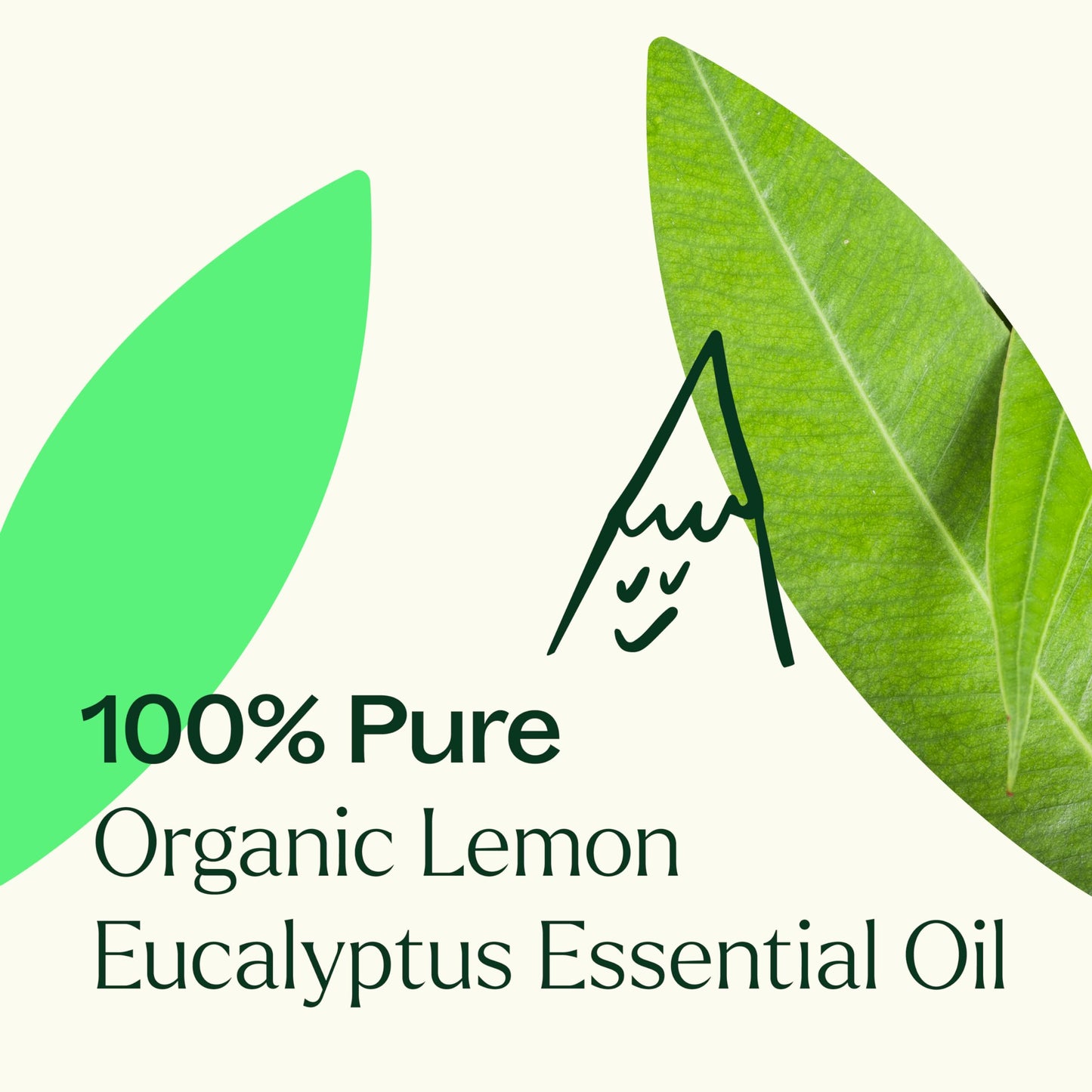 Plant Therapy Lemon Eucalyptus Essential Oil – 100% Pure, USDA Organic, 30 mL