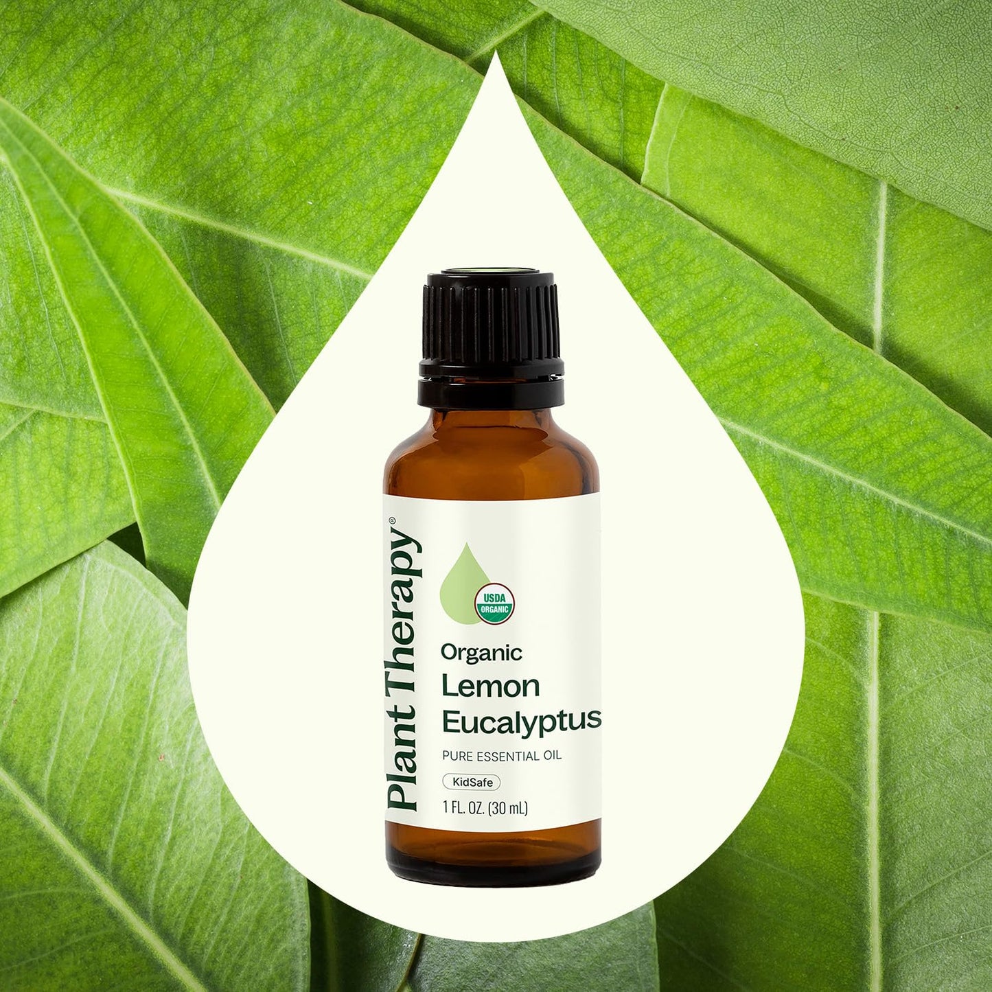 Plant Therapy Lemon Eucalyptus Essential Oil – 100% Pure, USDA Organic, 30 mL