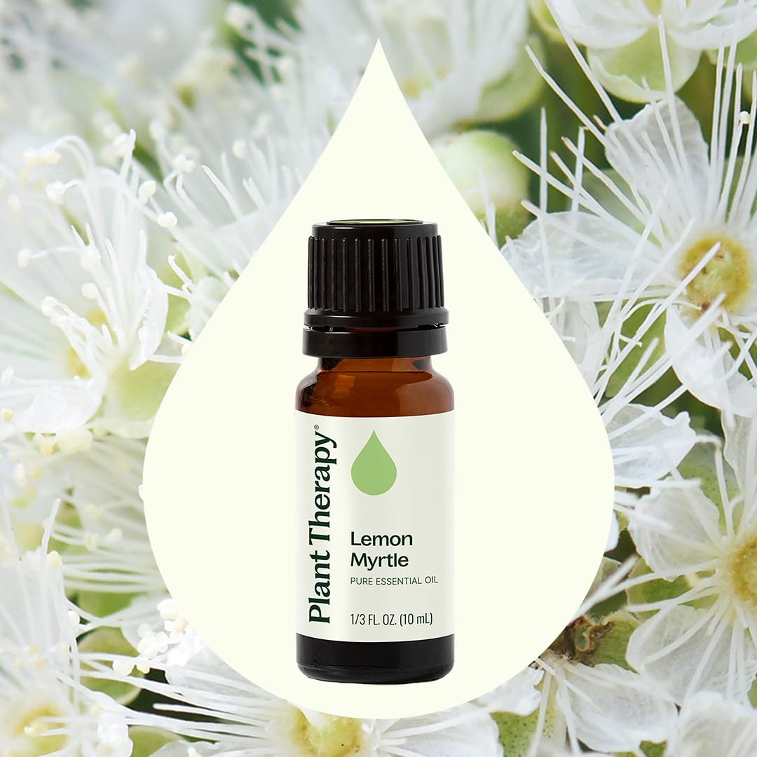 Plant Therapy Lemon Myrtle Essential Oil 10 mL (1/3 oz) – 100% Pure, Undiluted, Therapeutic Grade