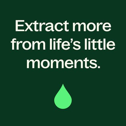 Plant Therapy Lemon Myrtle Essential Oil 10 mL (1/3 oz) – 100% Pure, Undiluted, Therapeutic Grade