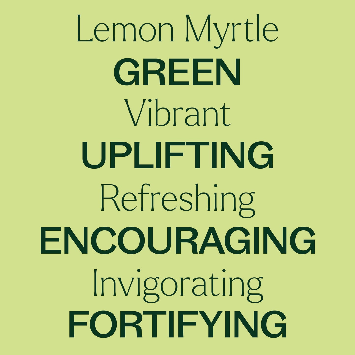 Plant Therapy Lemon Myrtle Essential Oil 10 mL (1/3 oz) – 100% Pure, Undiluted, Therapeutic Grade