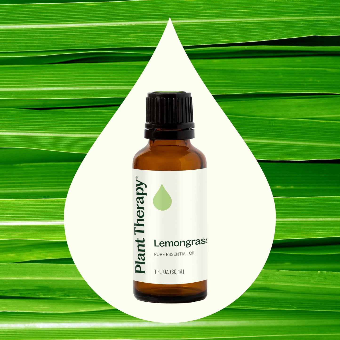 Plant Therapy Lemongrass Essential Oil 30 mL (1 oz) – 100% Pure, Undiluted, Therapeutic Grade
