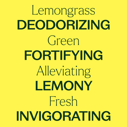 Plant Therapy Lemongrass Essential Oil 30 mL (1 oz) – 100% Pure, Undiluted, Therapeutic Grade