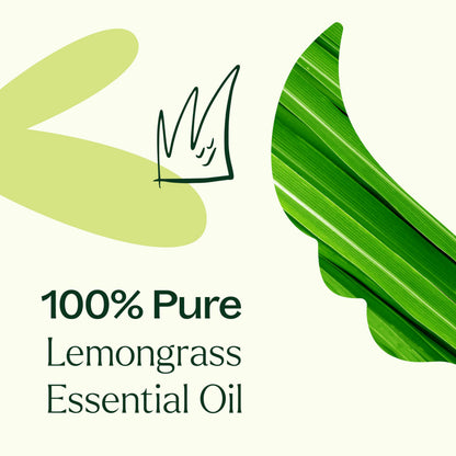 Plant Therapy Lemongrass Essential Oil 30 mL (1 oz) – 100% Pure, Undiluted, Therapeutic Grade