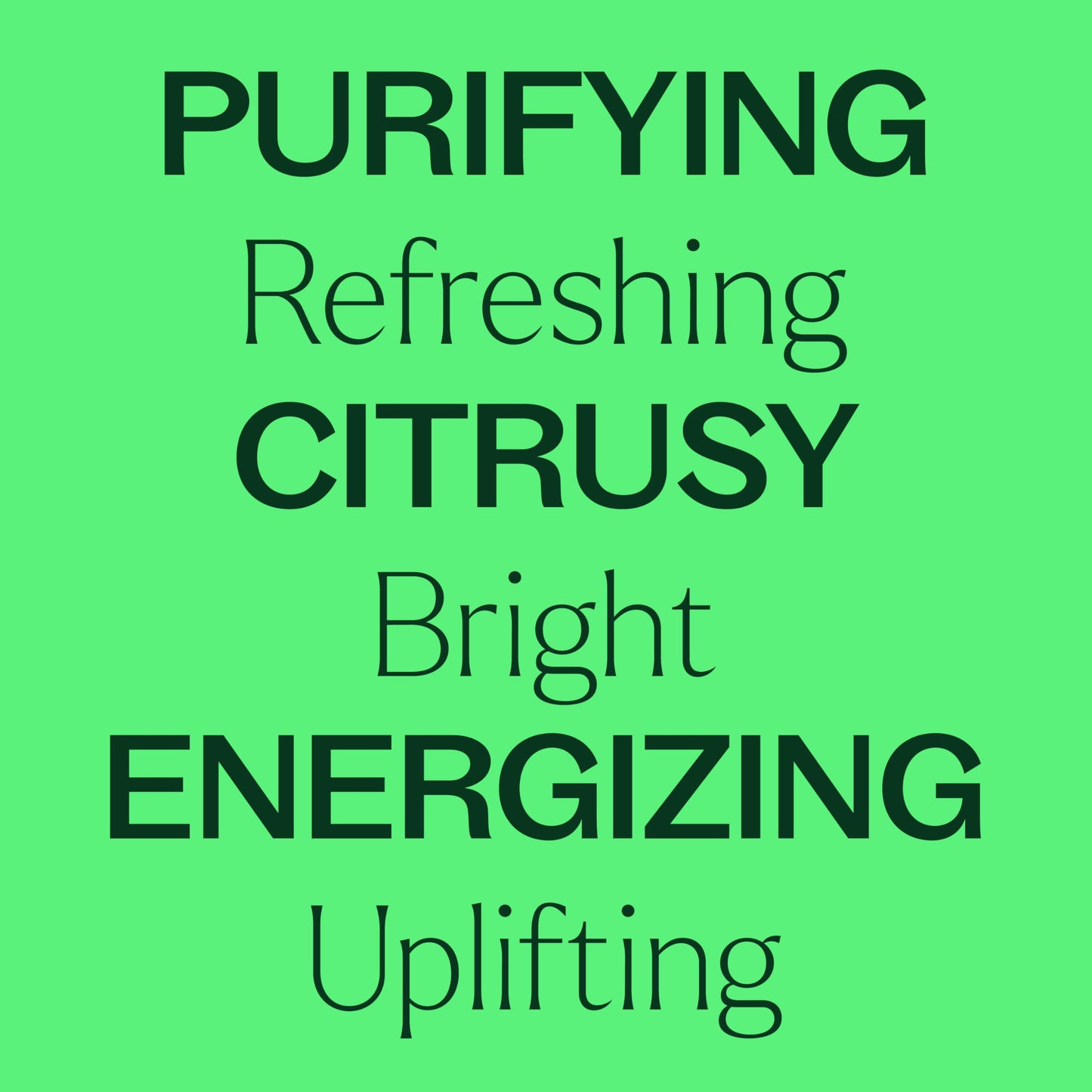 Plant Therapy Lime Steam Distilled Essential Oil 10 mL – 100% Pure, Therapeutic Grade
