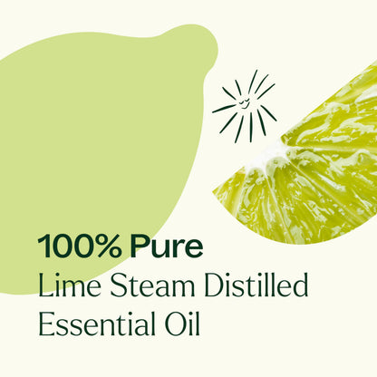 Plant Therapy Lime Steam Distilled Essential Oil 10 mL – 100% Pure, Therapeutic Grade
