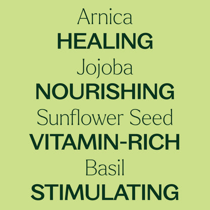 Plant Therapy Nerve Body Oil with Arnica 4 oz – Supports Discomfort & Tenderness