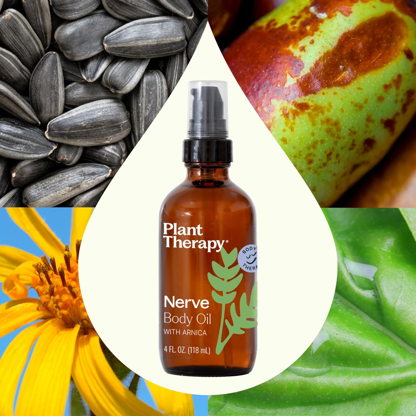 Plant Therapy Nerve Body Oil with Arnica 4 oz – Supports Discomfort & Tenderness