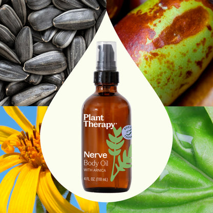Plant Therapy Nerve Body Oil with Arnica 4 oz – Supports Discomfort & Tenderness