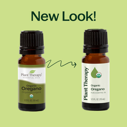 Plant Therapy Organic Oregano Essential Oil 100% Pure – USDA Organic, Therapeutic Grade 10 mL