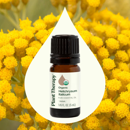 Plant Therapy Organic Helichrysum Italicum Essential Oil – 100% Pure, USDA Organic, 5 mL