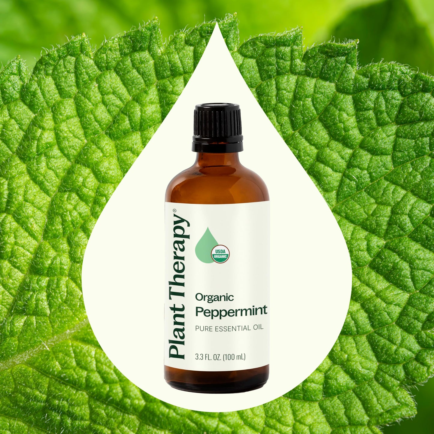 Plant Therapy Organic Peppermint Essential Oil – 100% Pure, USDA Organic, 100 mL