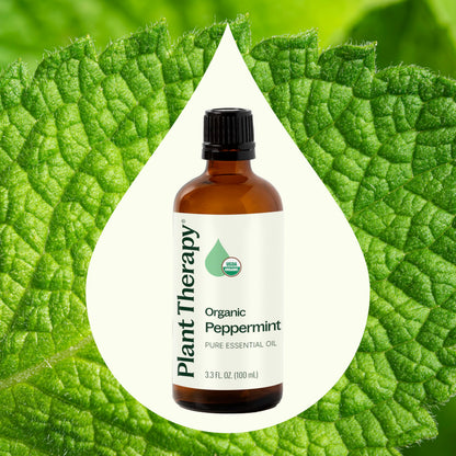 Plant Therapy Organic Peppermint Essential Oil – 100% Pure, USDA Organic, 100 mL