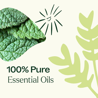 Plant Therapy Pain Support Roll-On Set 10 mL – Ache Away, Rapid Relief, Tension Relief