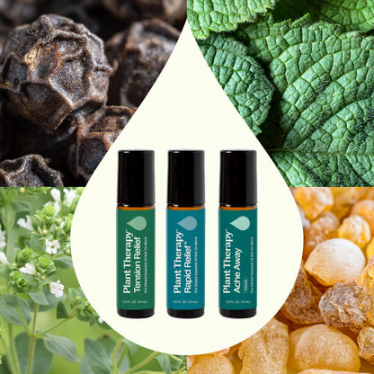 Plant Therapy Pain Support Roll-On Set 10 mL – Ache Away, Rapid Relief, Tension Relief