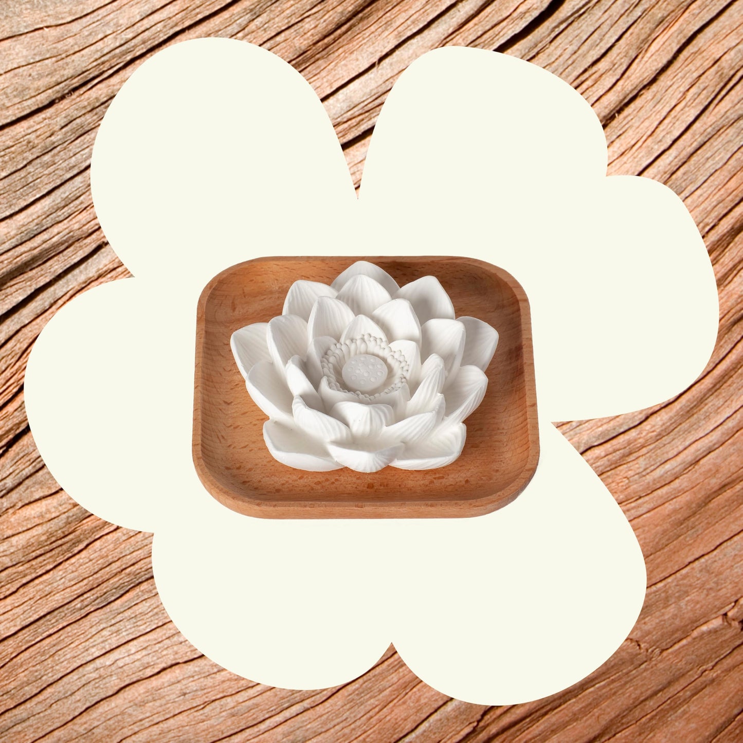 Plant Therapy Passive Lotus Flower Diffuser – No Water or Electricity