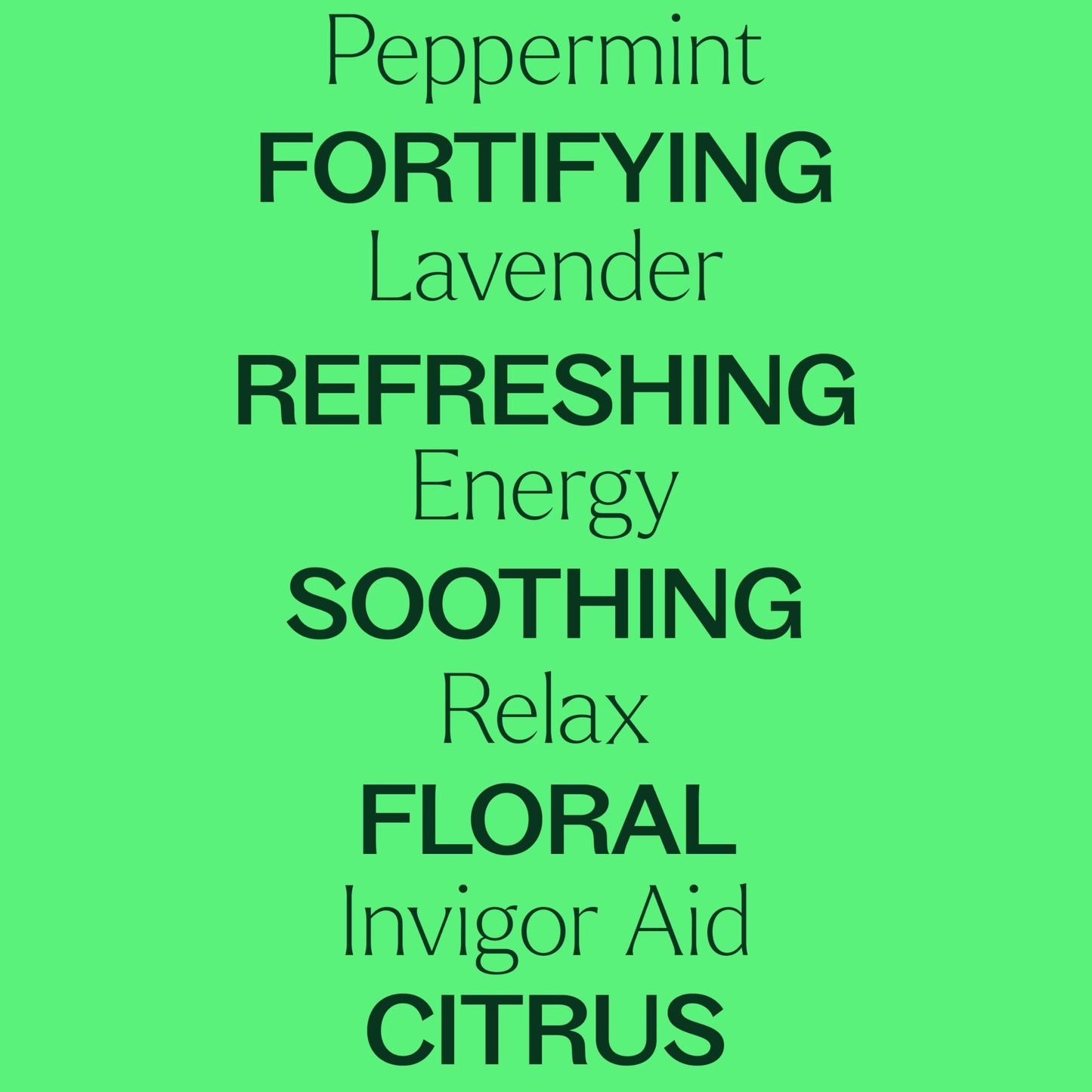 Plant Therapy 7 & 7 Essential Oils Set – 7 Singles + 7 Synergy Blends, 10 mL