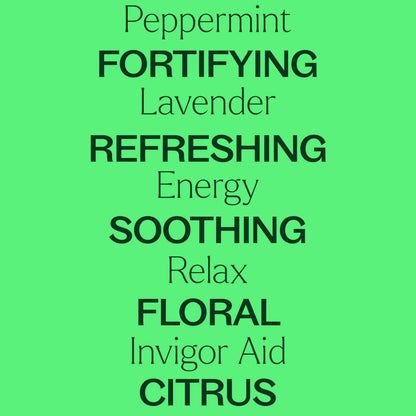 Plant Therapy 7 & 7 Essential Oils Set – 7 Singles + 7 Synergy Blends, 10 mL
