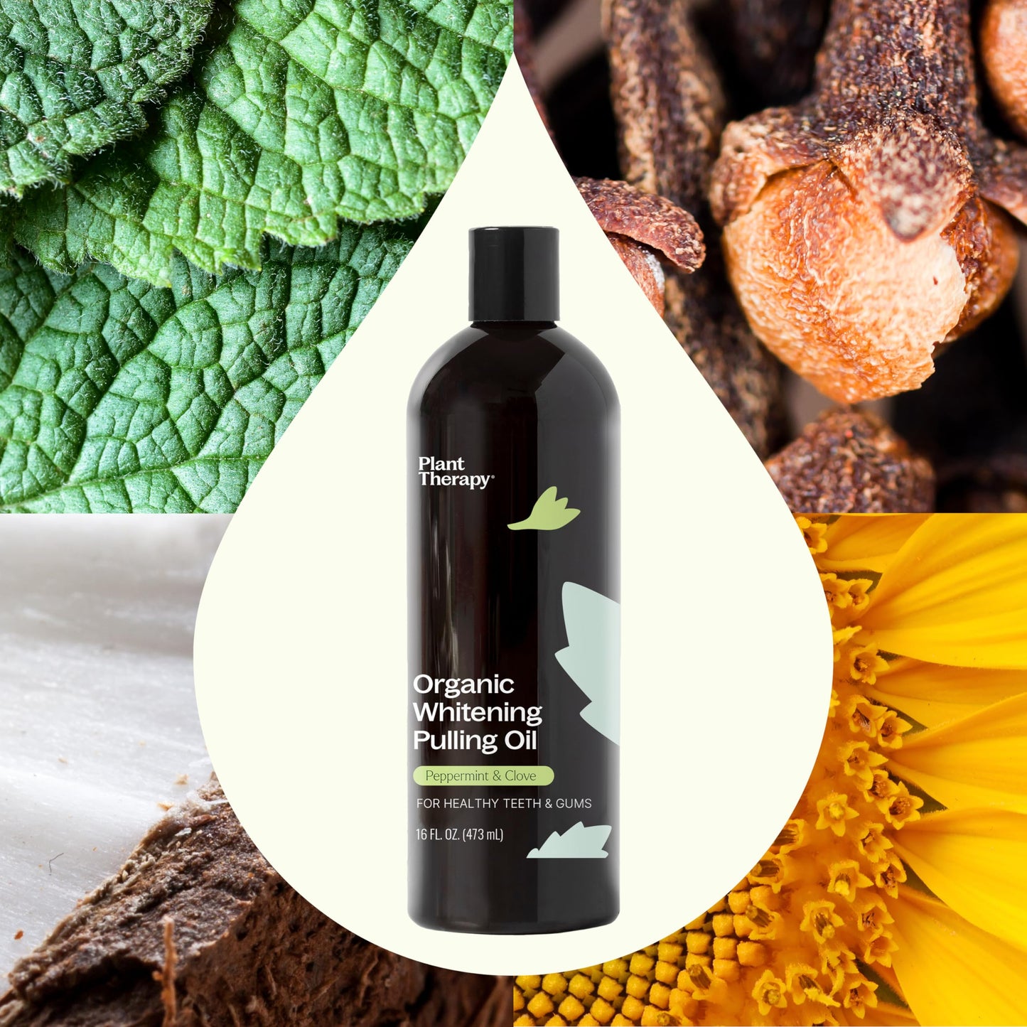 Plant Therapy Organic Pulling Oil 16 oz – Coconut & Peppermint