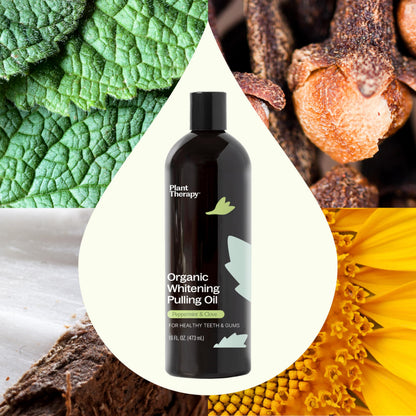 Plant Therapy Organic Pulling Oil 16 oz – Coconut & Peppermint