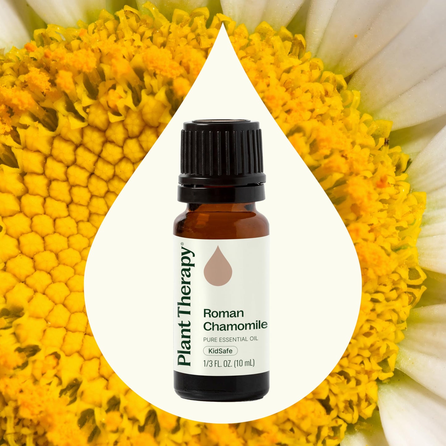 Plant Therapy Roman Chamomile Essential Oil 10 mL – 100% Pure, Undiluted, Therapeutic Grade