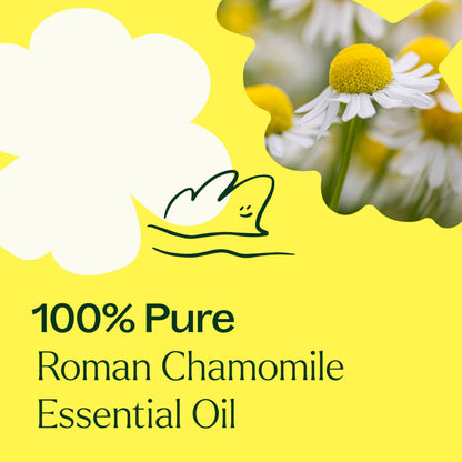 Plant Therapy Roman Chamomile Essential Oil 10 mL – 100% Pure, Undiluted, Therapeutic Grade
