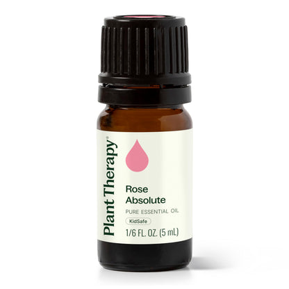 Rose Absolute Essential Oil 5 mL – Plant Therapy | 100% Pure