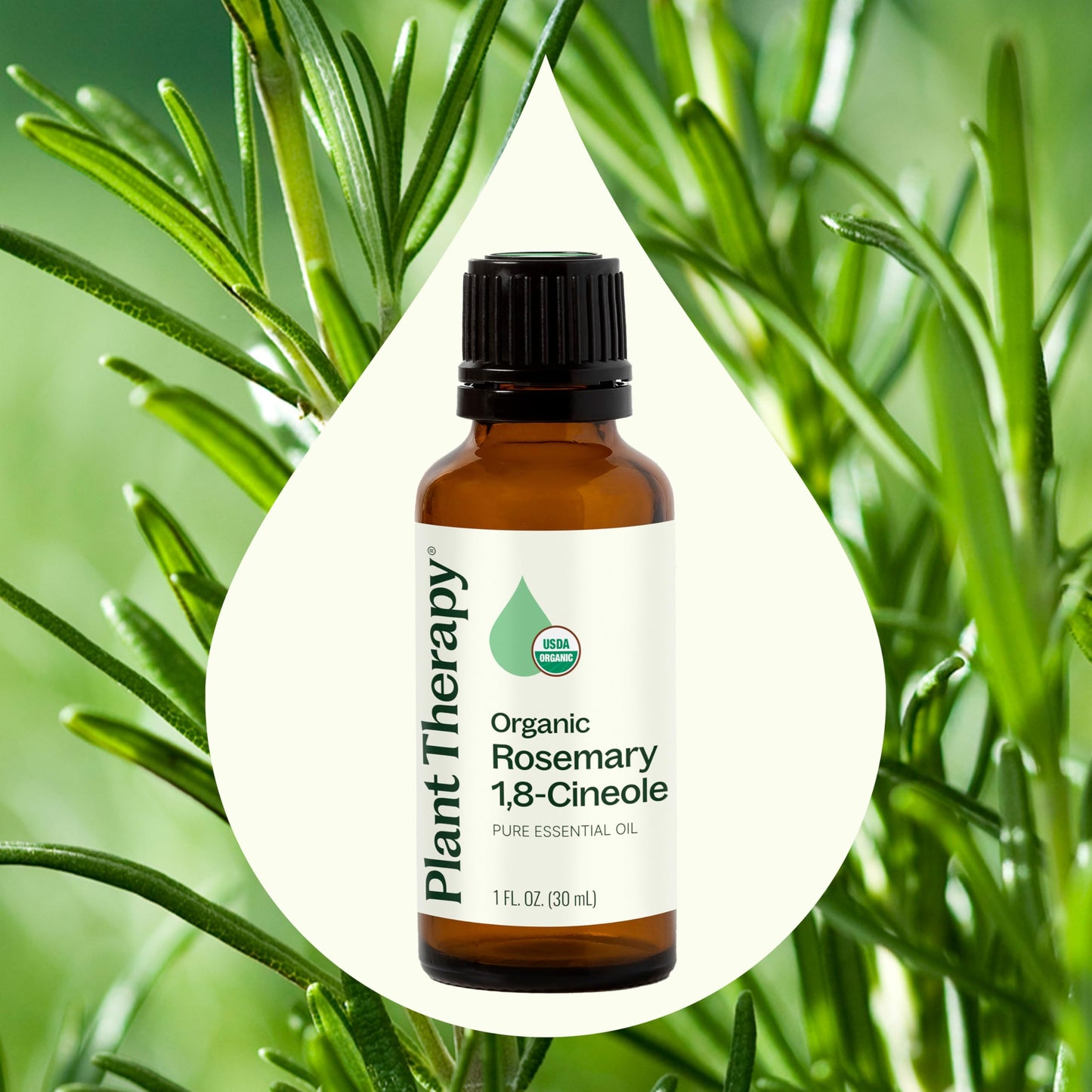 Plant Therapy Organic Rosemary Essential Oil - 100% Pure, USDA Certified Organic, 30 mL