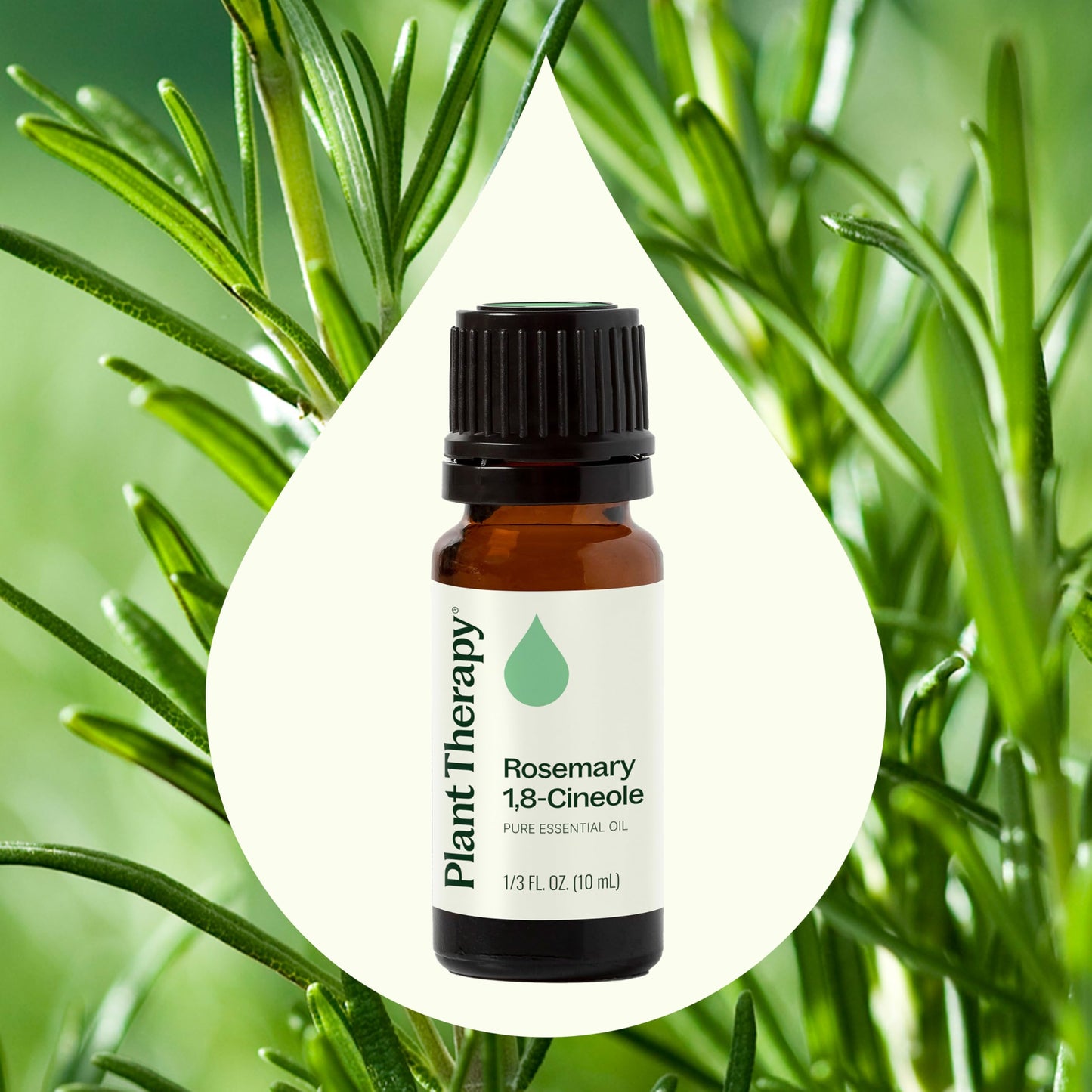 Plant Therapy Rosemary Essential Oil for Hair Growth – 100% Pure, Therapeutic Grade, 10 mL