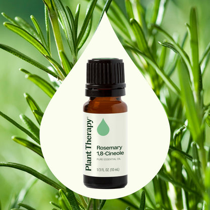 Plant Therapy Rosemary Essential Oil for Hair Growth – 100% Pure, Therapeutic Grade, 10 mL