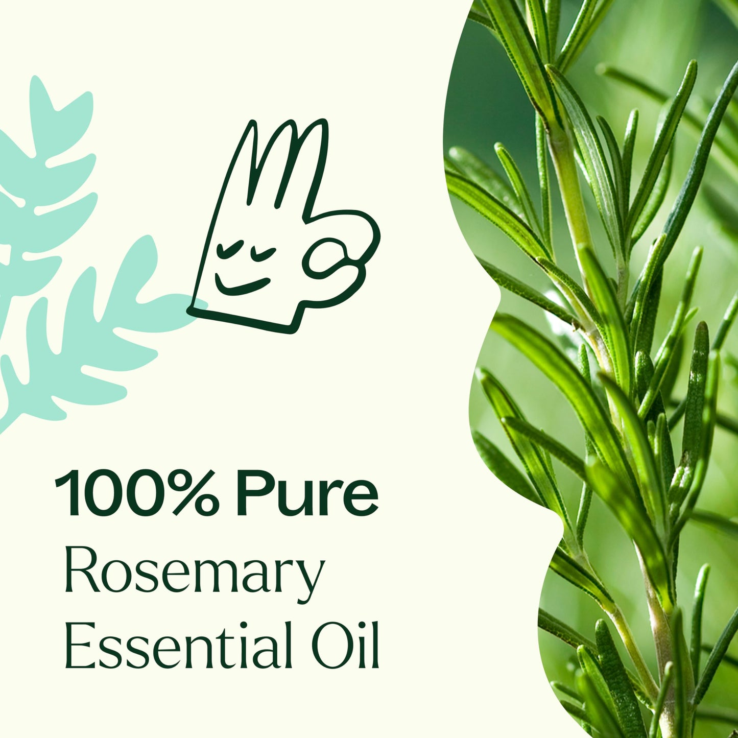 Plant Therapy Rosemary Essential Oil for Hair Growth – 100% Pure, Therapeutic Grade, 10 mL