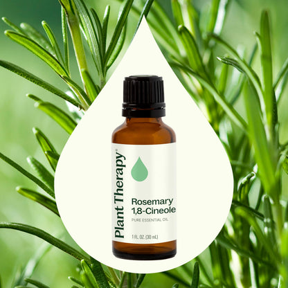 Plant Therapy Rosemary Essential Oil for Hair Growth – 100% Pure, Undiluted, Therapeutic Grade 30 mL (1 oz)